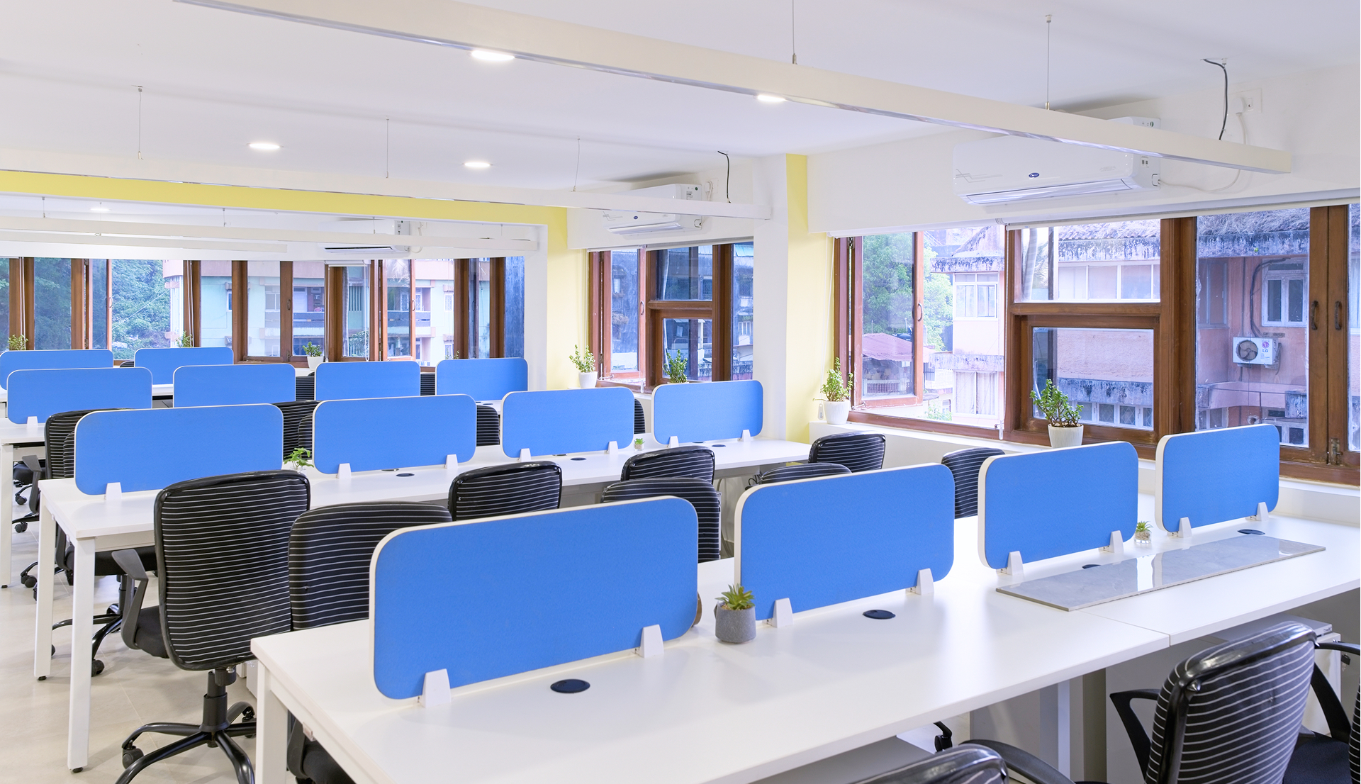 Spacious open-plan coworking office with rows of white desks, blue privacy panels, black ergonomic chairs, indoor plants, and large windows providing natural light